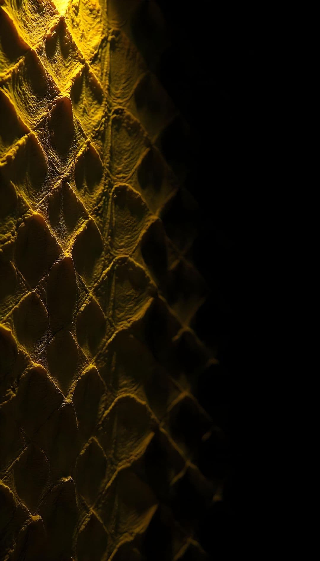 Close-up of illuminated reptilian scales