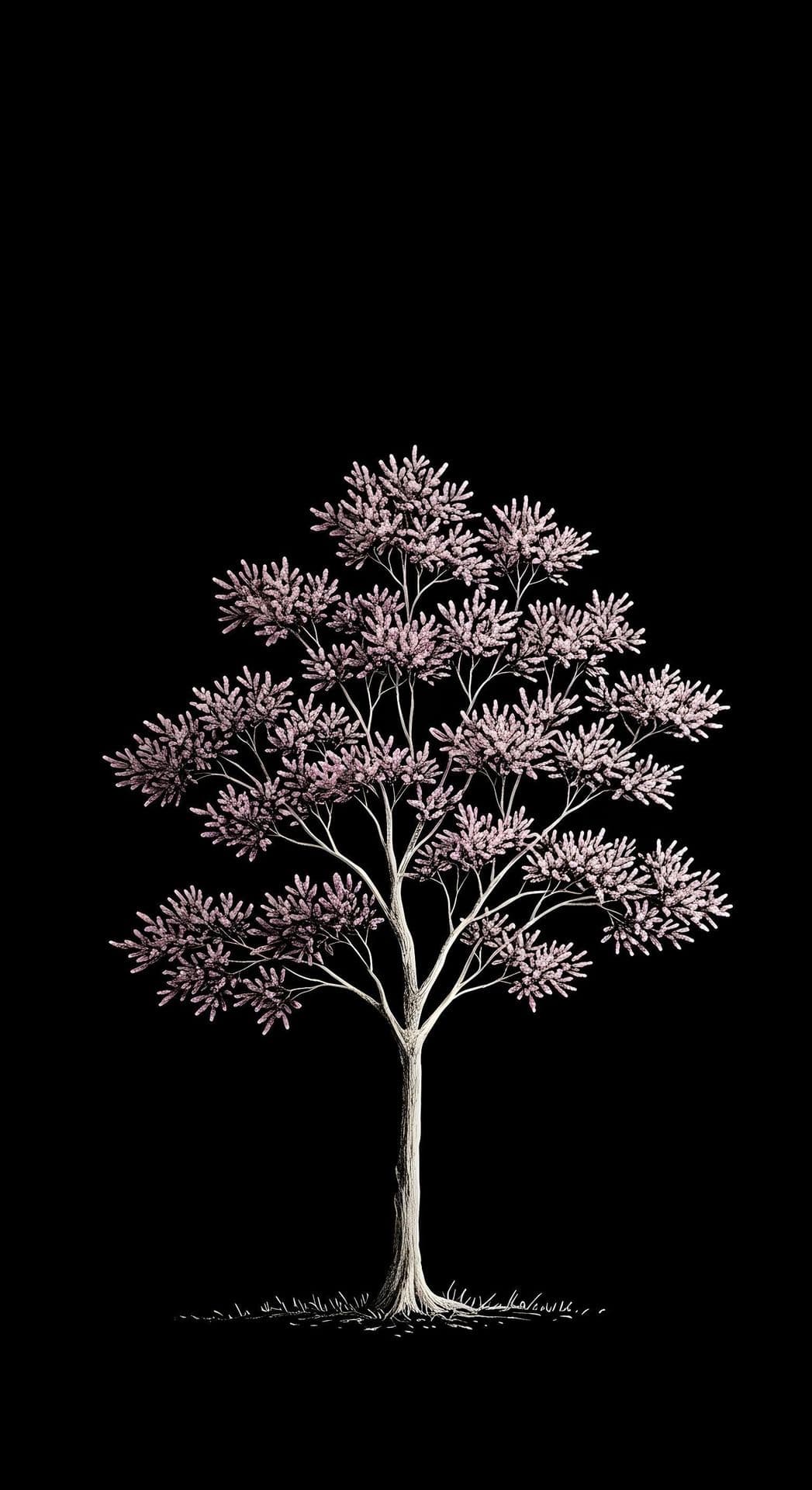 Solitary tree with pink blossoms on black background