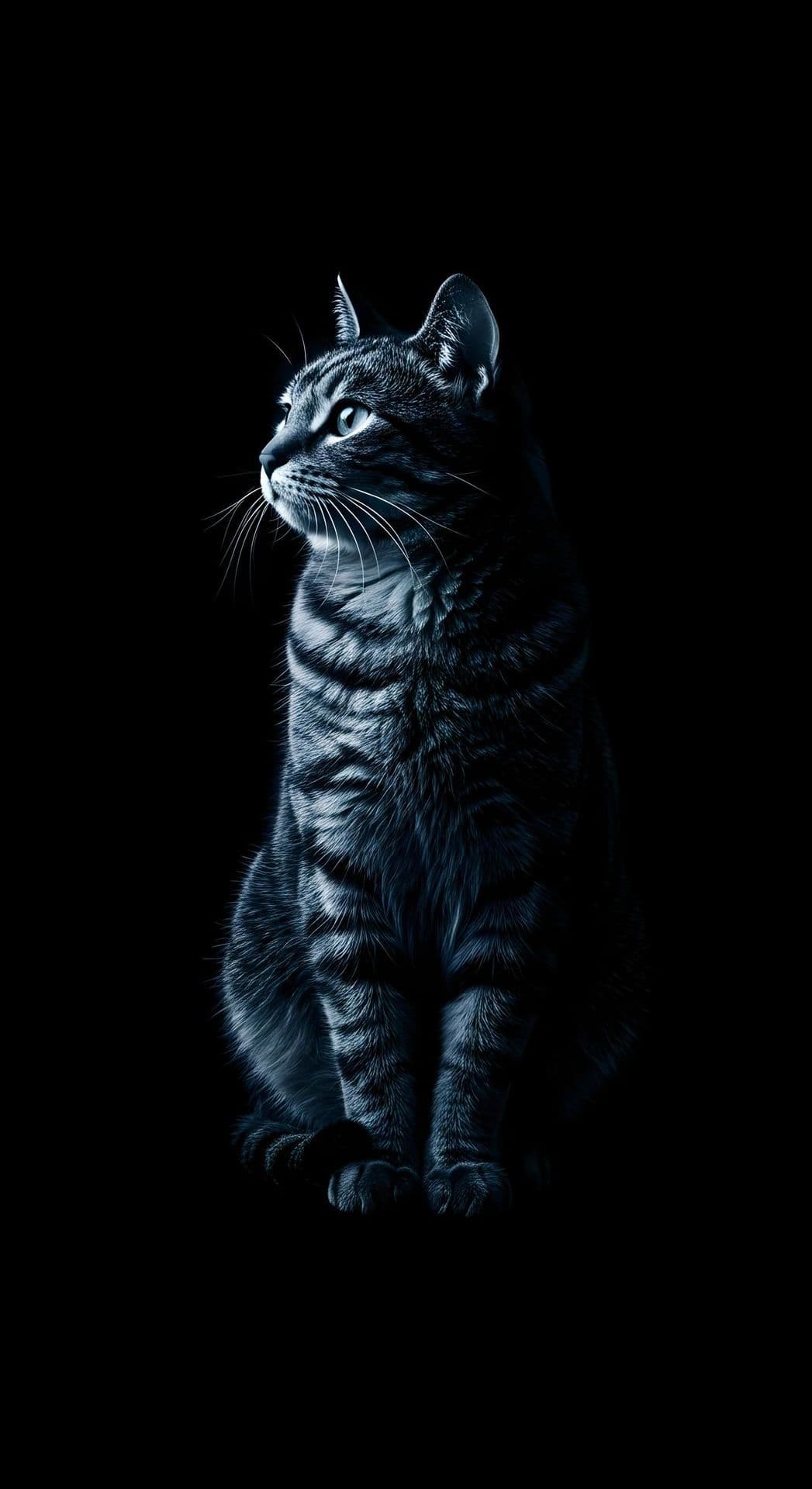 A tabby cat illuminated by bluish light on a black background, gazing upwards.