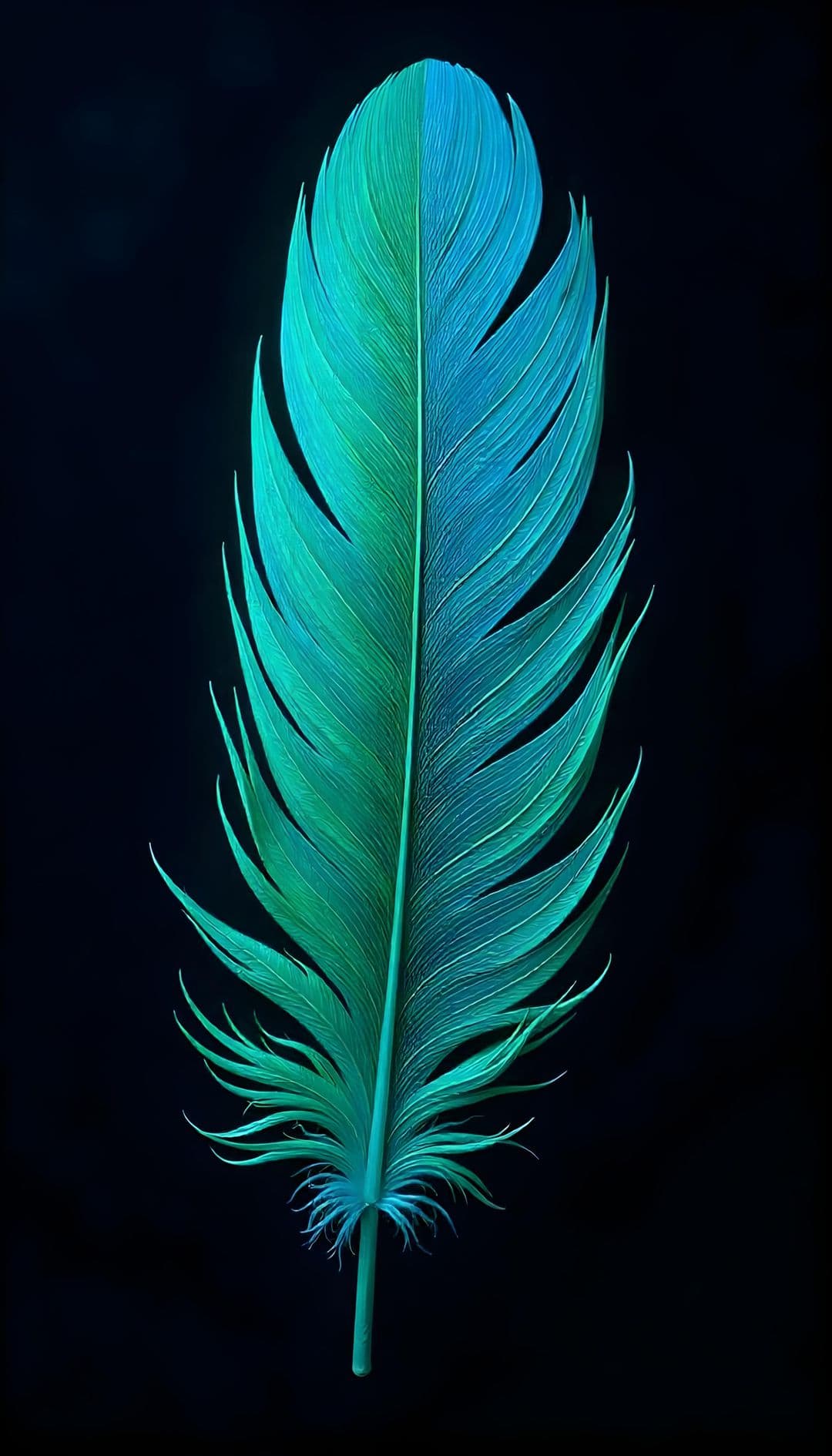 A vibrant teal feather against a black background.