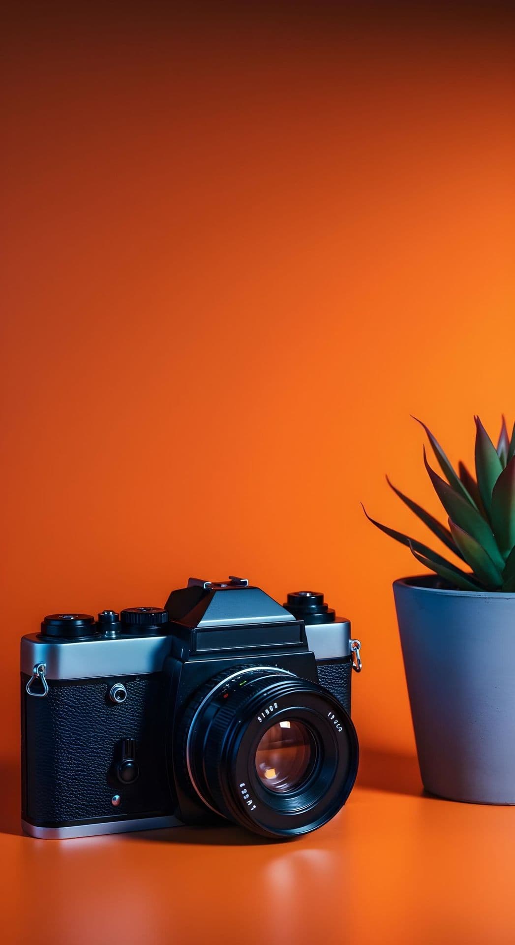 Vintage film camera and modern succulent on orange.