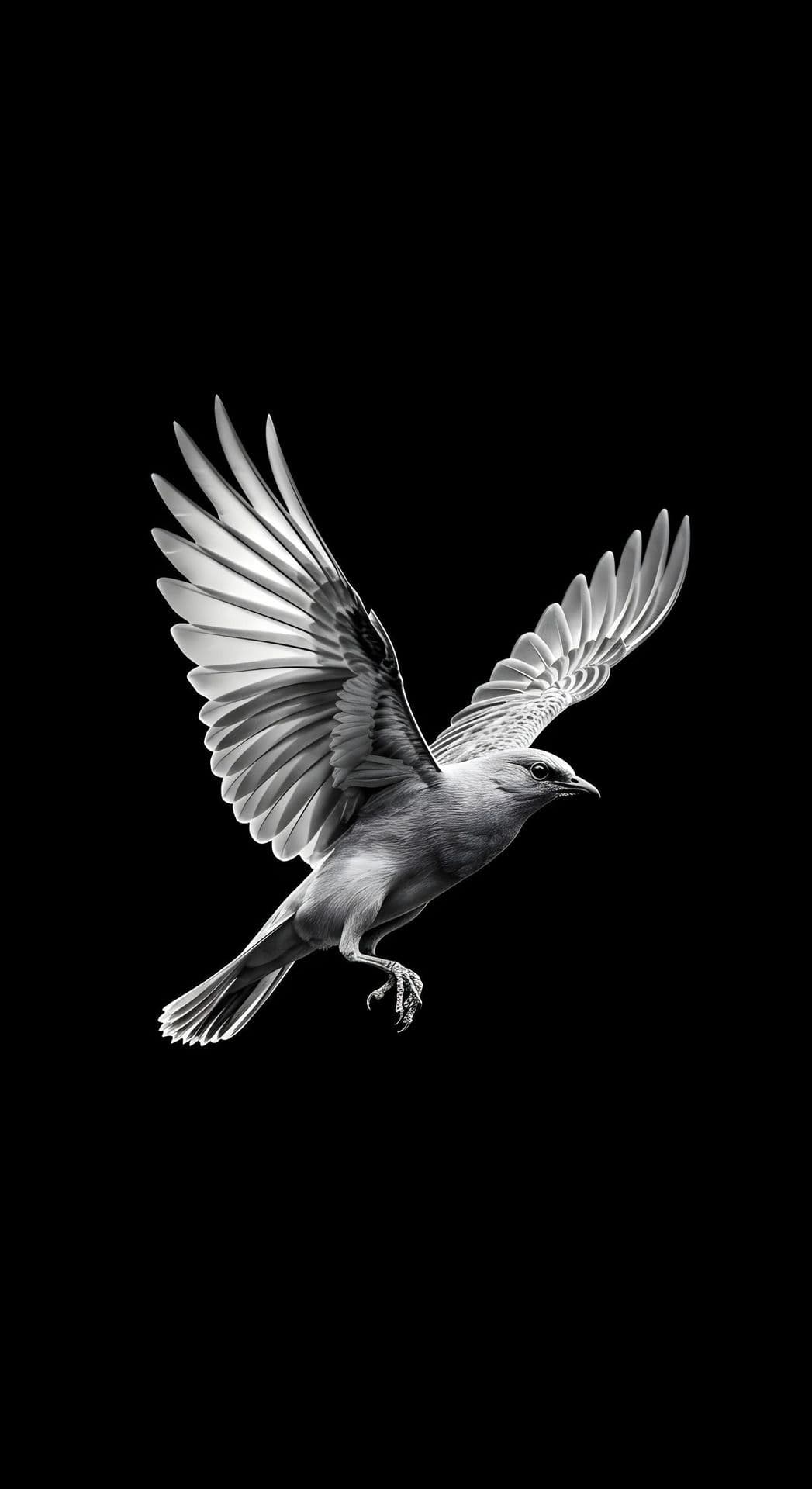 A bird in mid-flight with outstretched wings against a black background.