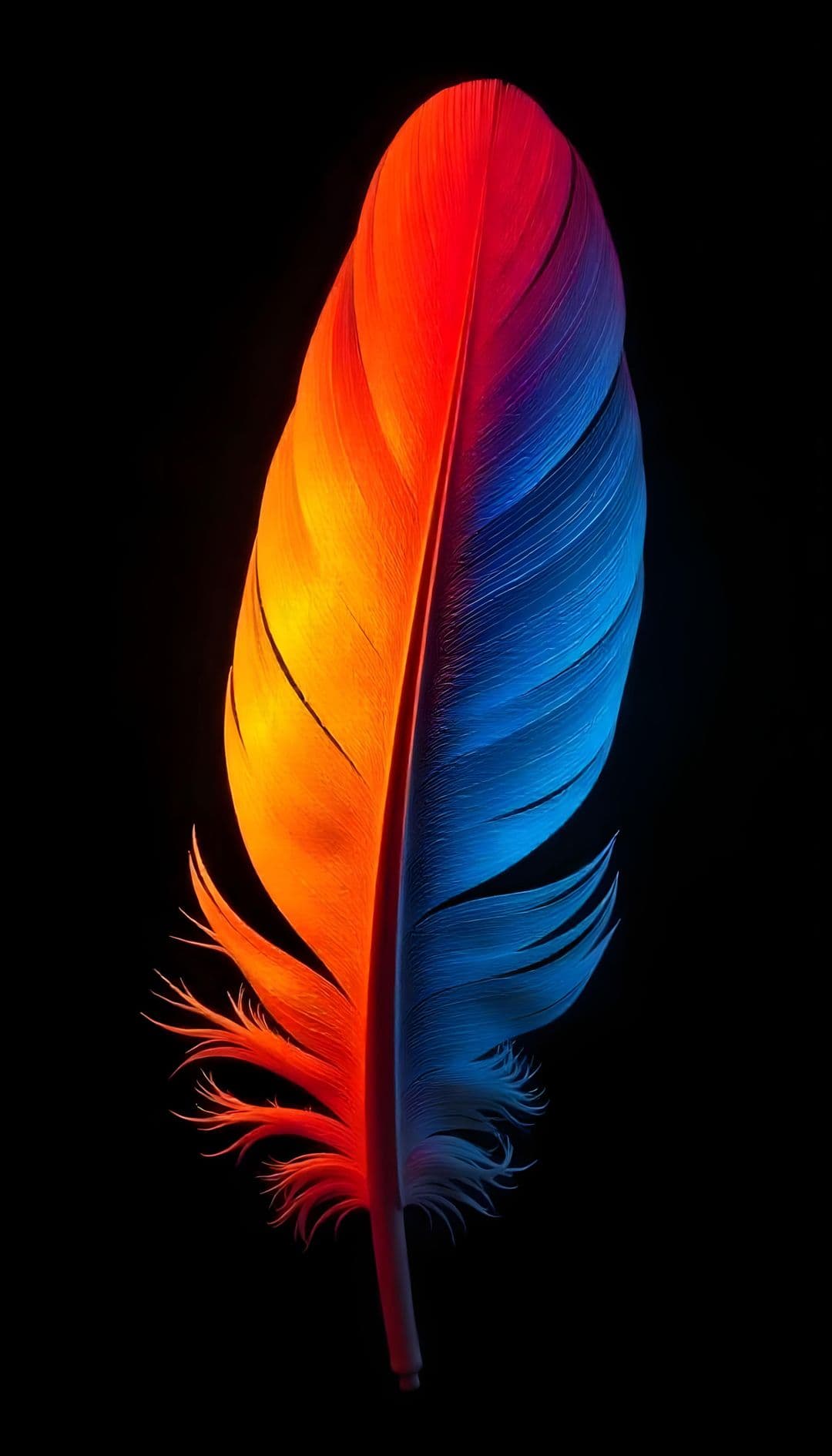 A gradient feather from orange to blue against black.